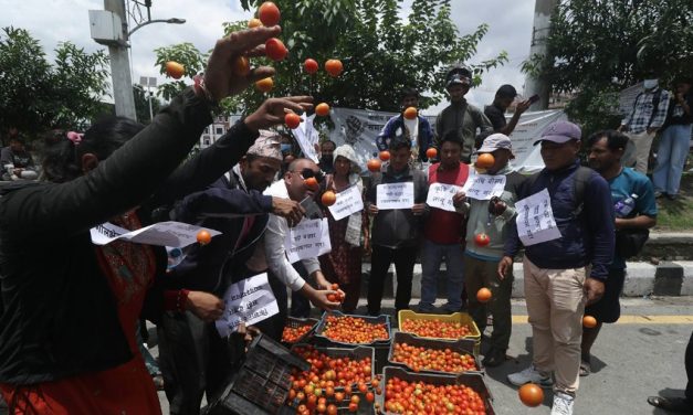 उचित मूल्यको माग गर्दै किसानले माइतीघरमा गोलभेँडा फ्याँके