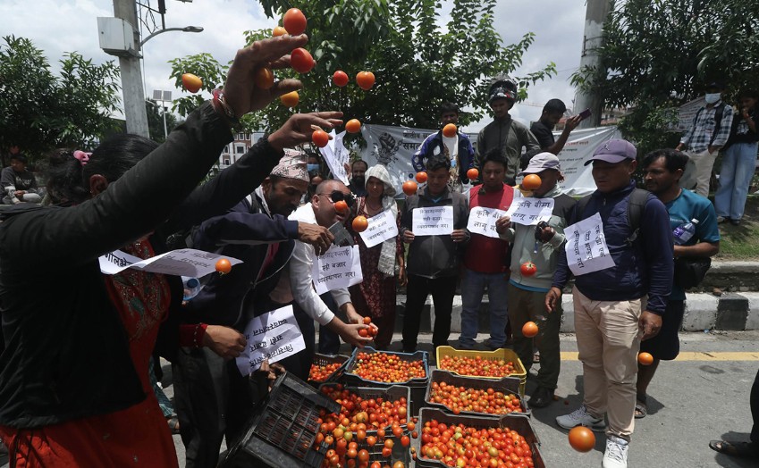 उचित मूल्यको माग गर्दै किसानले माइतीघरमा गोलभेँडा फ्याँके
