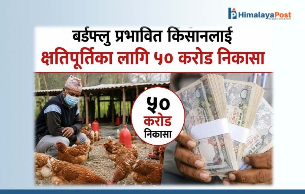 बर्डफ्लु प्रभावित किसानलाई क्षतिपूर्तिका लागि ५० करोड निकासा