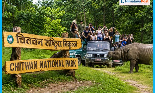 चितवन राष्ट्रिय निकुञ्जमा पर्यटक आगमन बढ्यो, २७ करोडभन्दा बढी राजस्व सङ्कलन