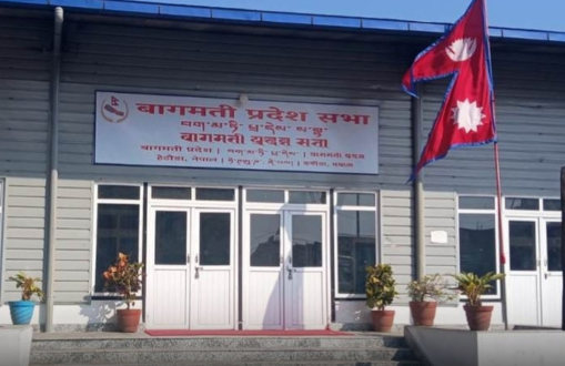 बाढीपीडितका लागि कांग्रेस बागमतीले ५ लाख ५५ हजार ५ सय ५५ रुपैयाँ सहयोग गर्ने  उद्धार, उपचार र पुनर्स्थापनालाई तीव्रता दिन सरकारसँग आग्रह