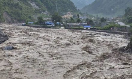 रसुवा बाढी : मुख्य प्रभावितक्षेत्र टिमुरेमा ६० शव फेला