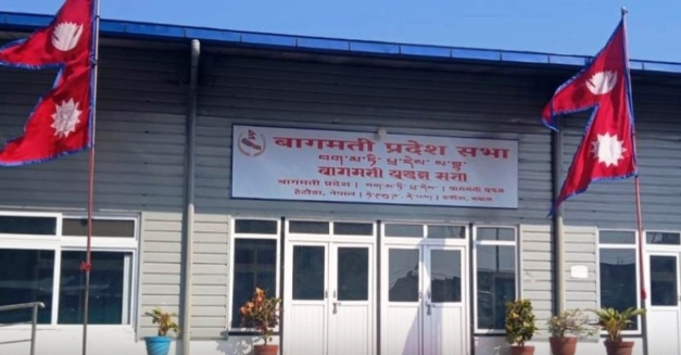 बाढी प्रभावित जिल्लामा पुनर्निर्माण तीव्र बनाउन प्रदेश सरकारलाई अर्थ विकास समितिकाे निर्देशन