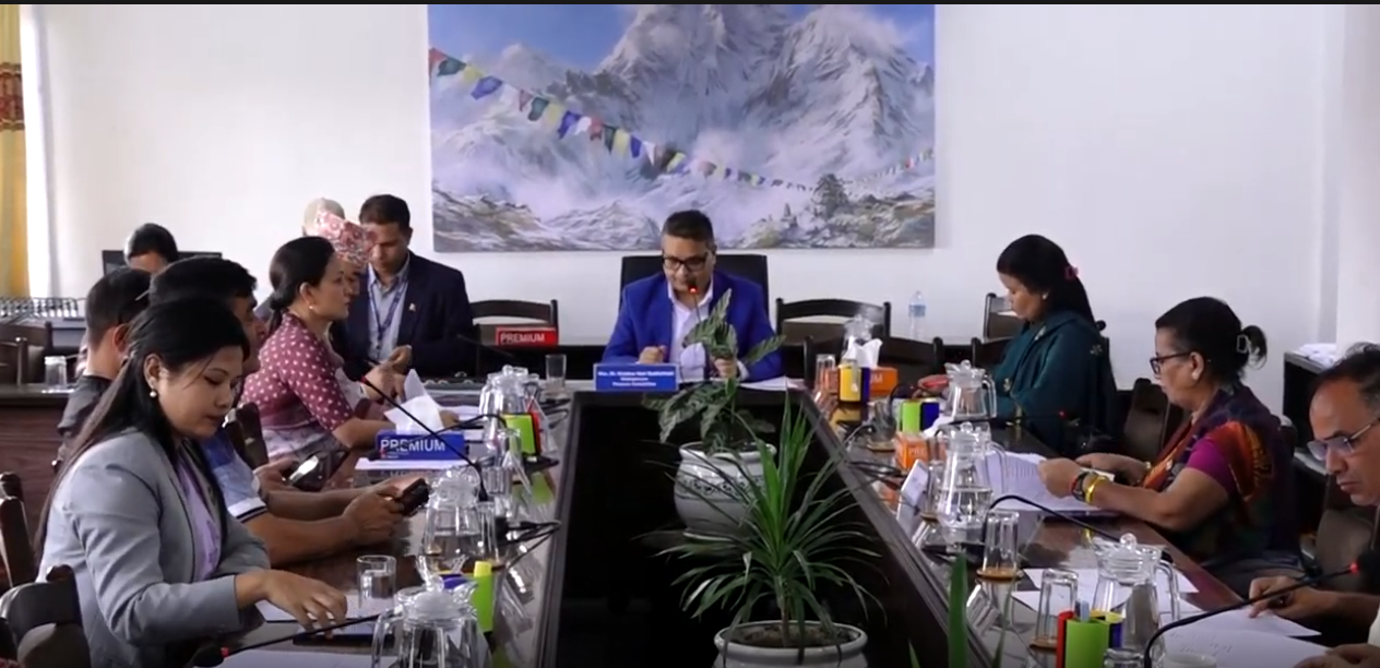 रसुवा बाढीपीडित व्यवसायीलाई राहत र पुनर्स्थापना तत्काल गर्न अर्थ समितिको निर्देशन