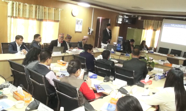 फैसला कार्यान्वयनमा ढिलाइ नगर्न सरकारलाई कानुन समितिको निर्देशन