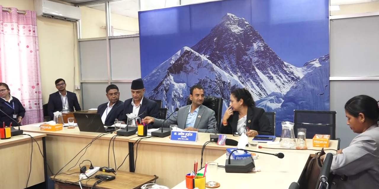 बाढीपीडितको तत्काल उद्धार गर्न सरकारलाई पूर्वाधार विकास समितिको निर्देशन