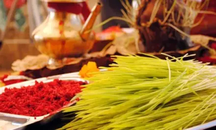 टीकाको दोस्रो दिन : मान्यजनबाट आशीर्वाद थाप्ने क्रम जारी