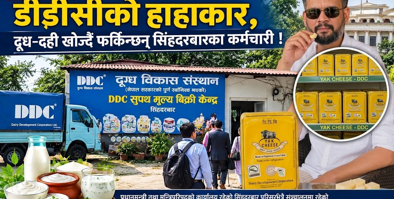 प्रधानमन्त्री बालेन्द्र शाहकै आँगनमा डीडीसीको हाहाकार, दूध–दही खोज्दै फर्किन्छन् सिंहदरबारका कर्मचारी !