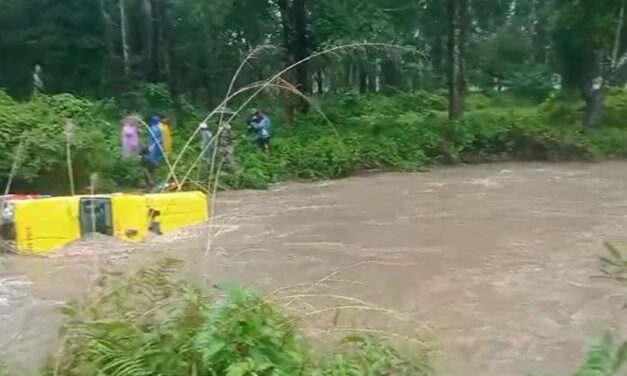 बिरामी लिएर चितवन आउँदै गरेको एम्बुलेन्स खोलाले बगायो