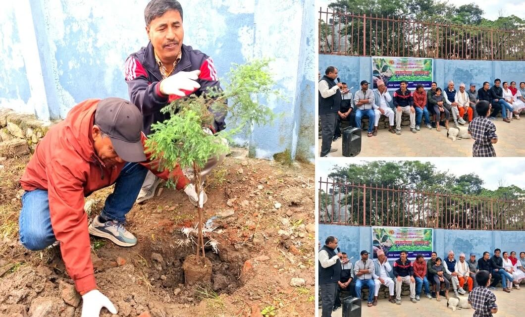 ललितपुरको महालक्ष्मी – ७ चाँगाथलीमा वृक्षारोपण, चिल्ड्रेन पार्कलाई हरियाली बनाउने अभियान