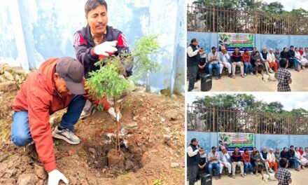 ललितपुरको महालक्ष्मी – ७ चाँगाथलीमा वृक्षारोपण, चिल्ड्रेन पार्कलाई हरियाली बनाउने अभियान