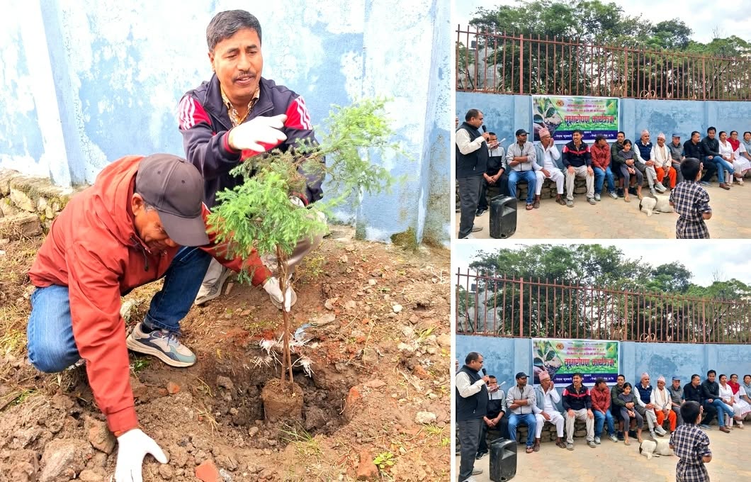 ललितपुरको महालक्ष्मी – ७ चाँगाथलीमा वृक्षारोपण, चिल्ड्रेन पार्कलाई हरियाली बनाउने अभियान