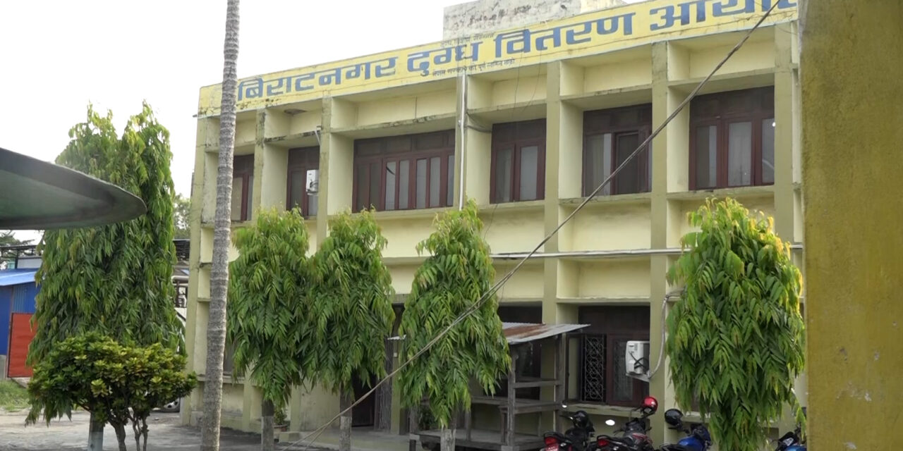 विराटनगर दुग्ध आयोजनाको बक्यौता घट्यो, किसानलाई तिर्नुपर्ने रकम ३ करोडमा सीमित