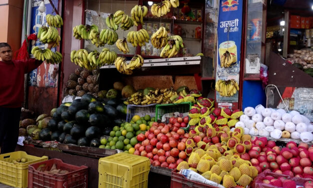 दसैंको रौनकसँगै काठमाडौंमा बढ्यो फलफूलको व्यापार