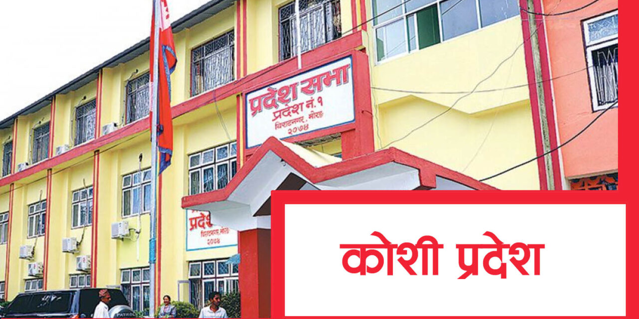 कोशीमा ४ अर्ब ९६ करोडका ६९ बहुवर्षीय योजनालाई स्रोत सहमति